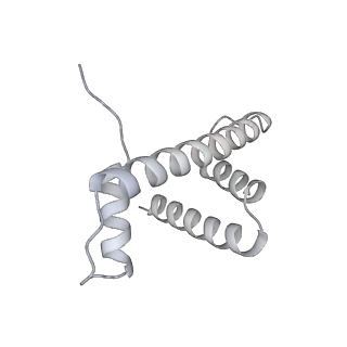 34416_8h0w_h_v1-0
RNA polymerase II transcribing a chromatosome (type II)