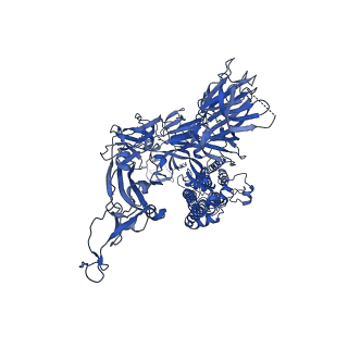 34417_8h0x_C_v1-1
Structure of SARS-CoV-1 Spike Protein with Engineered x1 Disulfide (S370C and D967C), Locked-1 Conformation