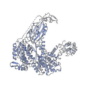 34427_8h1c_A_v1-1
Cryo-EM structure of Oryza sativa plastid glycyl-tRNA synthetase in complex with two tRNAs (one in tRNA binding state and the other in tRNA locked state)