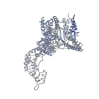34427_8h1c_B_v1-1
Cryo-EM structure of Oryza sativa plastid glycyl-tRNA synthetase in complex with two tRNAs (one in tRNA binding state and the other in tRNA locked state)