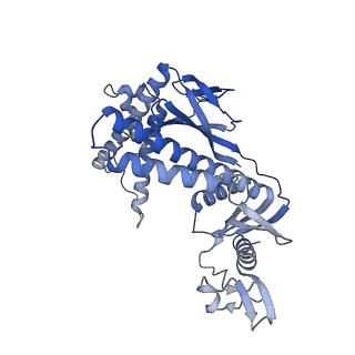 34428_8h1j_A_v1-2
Cryo-EM structure of the TnpB-omegaRNA-target DNA ternary complex