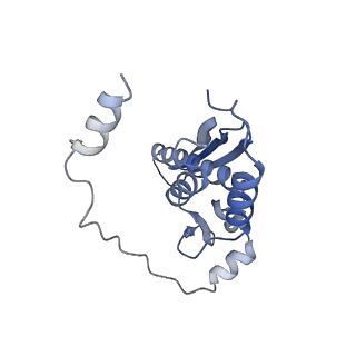 34430_8h1p_A_v1-1
Cryo-EM structure of the human RAD52 protein