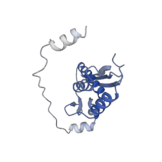 34430_8h1p_B_v1-1
Cryo-EM structure of the human RAD52 protein