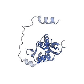 34430_8h1p_C_v1-1
Cryo-EM structure of the human RAD52 protein