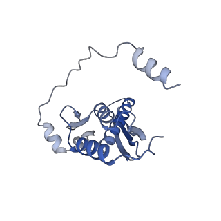 34430_8h1p_D_v1-1
Cryo-EM structure of the human RAD52 protein