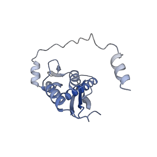 34430_8h1p_E_v1-1
Cryo-EM structure of the human RAD52 protein