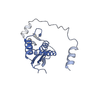 34430_8h1p_F_v1-1
Cryo-EM structure of the human RAD52 protein