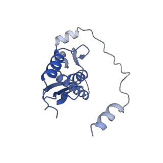 34430_8h1p_G_v1-1
Cryo-EM structure of the human RAD52 protein