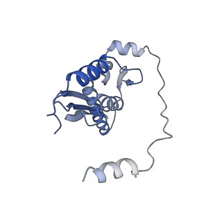 34430_8h1p_H_v1-1
Cryo-EM structure of the human RAD52 protein