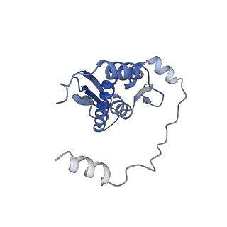 34430_8h1p_I_v1-1
Cryo-EM structure of the human RAD52 protein