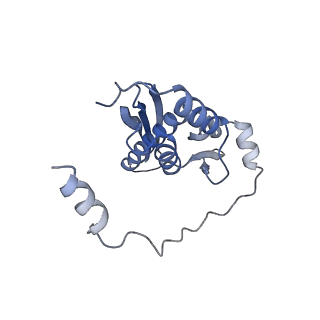 34430_8h1p_J_v1-1
Cryo-EM structure of the human RAD52 protein