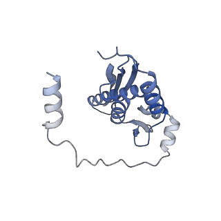 34430_8h1p_K_v1-1
Cryo-EM structure of the human RAD52 protein
