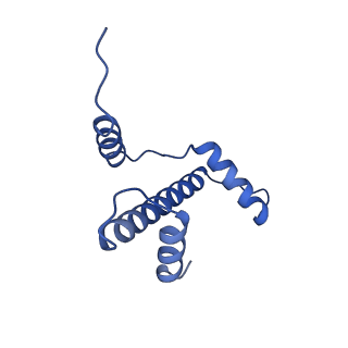 34431_8h1t_A_v1-2
Cryo-EM structure of BAP1-ASXL1 bound to chromatosome
