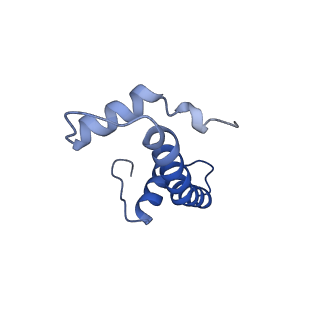 34431_8h1t_B_v1-2
Cryo-EM structure of BAP1-ASXL1 bound to chromatosome
