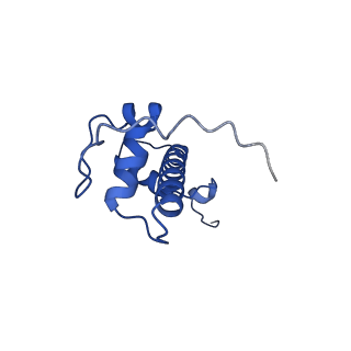 34431_8h1t_C_v1-2
Cryo-EM structure of BAP1-ASXL1 bound to chromatosome
