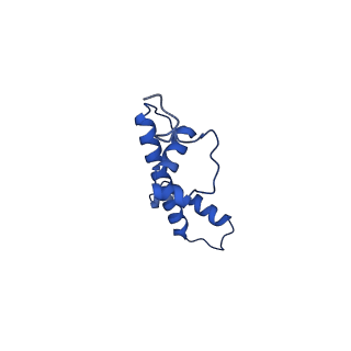 34431_8h1t_G_v1-2
Cryo-EM structure of BAP1-ASXL1 bound to chromatosome