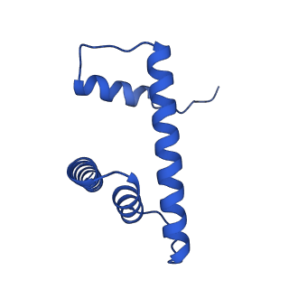 34431_8h1t_H_v1-2
Cryo-EM structure of BAP1-ASXL1 bound to chromatosome