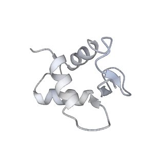 34431_8h1t_K_v1-2
Cryo-EM structure of BAP1-ASXL1 bound to chromatosome