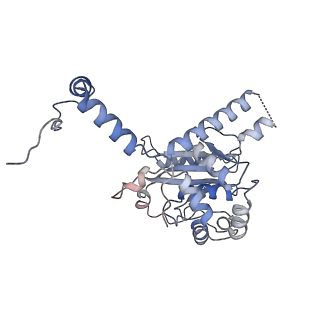 34431_8h1t_L_v1-2
Cryo-EM structure of BAP1-ASXL1 bound to chromatosome