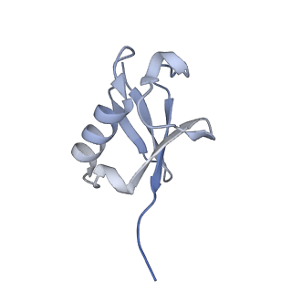 34431_8h1t_M_v1-2
Cryo-EM structure of BAP1-ASXL1 bound to chromatosome