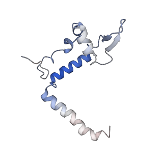 34431_8h1t_N_v1-2
Cryo-EM structure of BAP1-ASXL1 bound to chromatosome