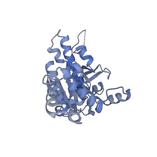 9566_5h1b_B_v1-4
Human RAD51 presynaptic complex