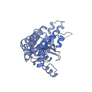 9566_5h1b_C_v1-4
Human RAD51 presynaptic complex