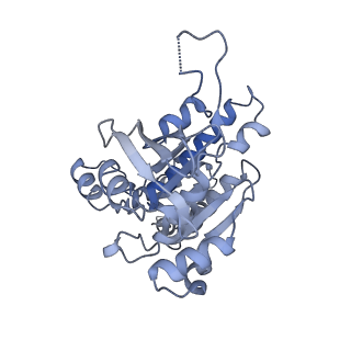 9567_5h1c_A_v1-3
Human RAD51 post-synaptic complexes