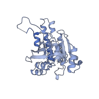 9567_5h1c_B_v1-3
Human RAD51 post-synaptic complexes
