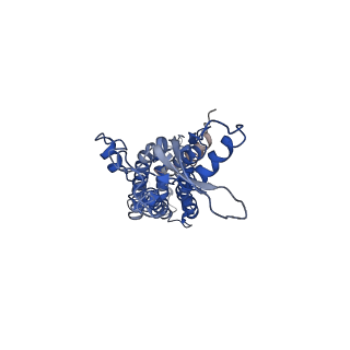 9570_5h1q_A_v1-2
C. elegans INX-6 gap junction hemichannel
