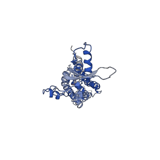 9570_5h1q_B_v1-2
C. elegans INX-6 gap junction hemichannel