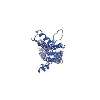 9570_5h1q_C_v1-2
C. elegans INX-6 gap junction hemichannel