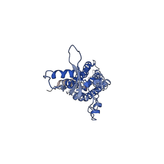 9570_5h1q_D_v1-2
C. elegans INX-6 gap junction hemichannel