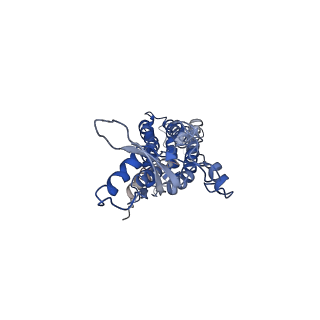 9570_5h1q_E_v1-2
C. elegans INX-6 gap junction hemichannel