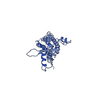 9570_5h1q_F_v1-2
C. elegans INX-6 gap junction hemichannel
