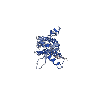 9570_5h1q_G_v1-2
C. elegans INX-6 gap junction hemichannel