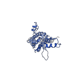 9570_5h1q_H_v1-2
C. elegans INX-6 gap junction hemichannel