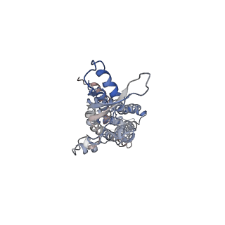 9571_5h1r_C_v1-1
C. elegans INX-6 gap junction channel
