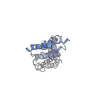 9571_5h1r_I_v1-1
C. elegans INX-6 gap junction channel