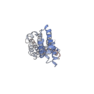 9571_5h1r_K_v1-1
C. elegans INX-6 gap junction channel
