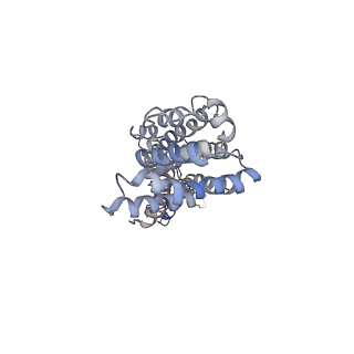 9571_5h1r_M_v1-1
C. elegans INX-6 gap junction channel