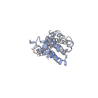 9571_5h1r_N_v1-1
C. elegans INX-6 gap junction channel