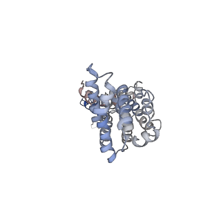 9571_5h1r_O_v1-1
C. elegans INX-6 gap junction channel