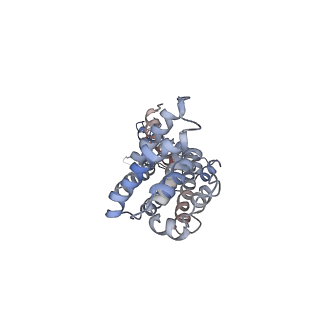 9571_5h1r_P_v1-1
C. elegans INX-6 gap junction channel