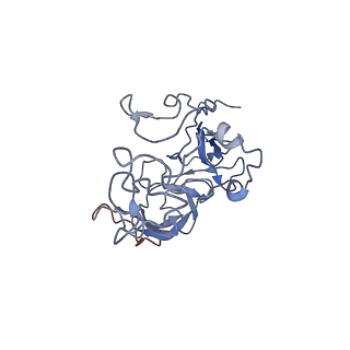 9572_5h1s_E_v1-2
Structure of the large subunit of the chloro-ribosome