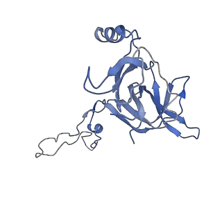 9572_5h1s_F_v1-2
Structure of the large subunit of the chloro-ribosome