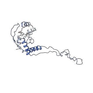 9572_5h1s_G_v1-2
Structure of the large subunit of the chloro-ribosome