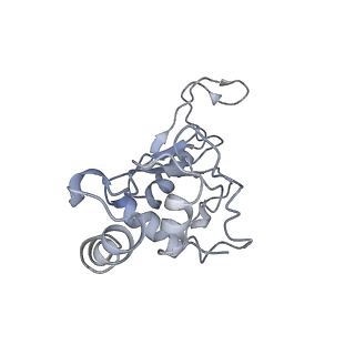 9572_5h1s_H_v1-2
Structure of the large subunit of the chloro-ribosome