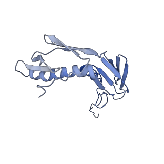 9572_5h1s_I_v1-2
Structure of the large subunit of the chloro-ribosome