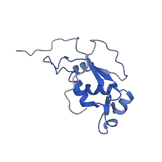 9572_5h1s_L_v1-2
Structure of the large subunit of the chloro-ribosome